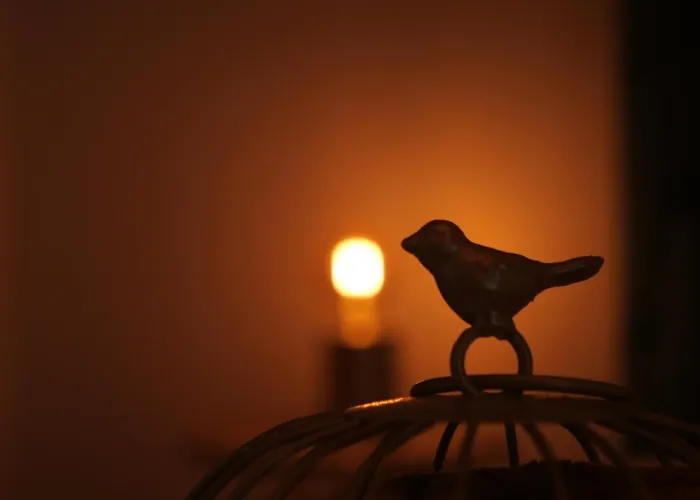 Apartment Do Ilheu De Franca Vila Franca do Campo